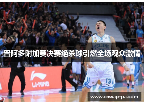 普阿多附加赛决赛绝杀球引燃全场观众激情