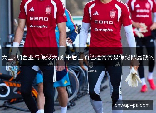 大卫·加西亚与保级大战 中后卫的经验常常是保级队最缺的